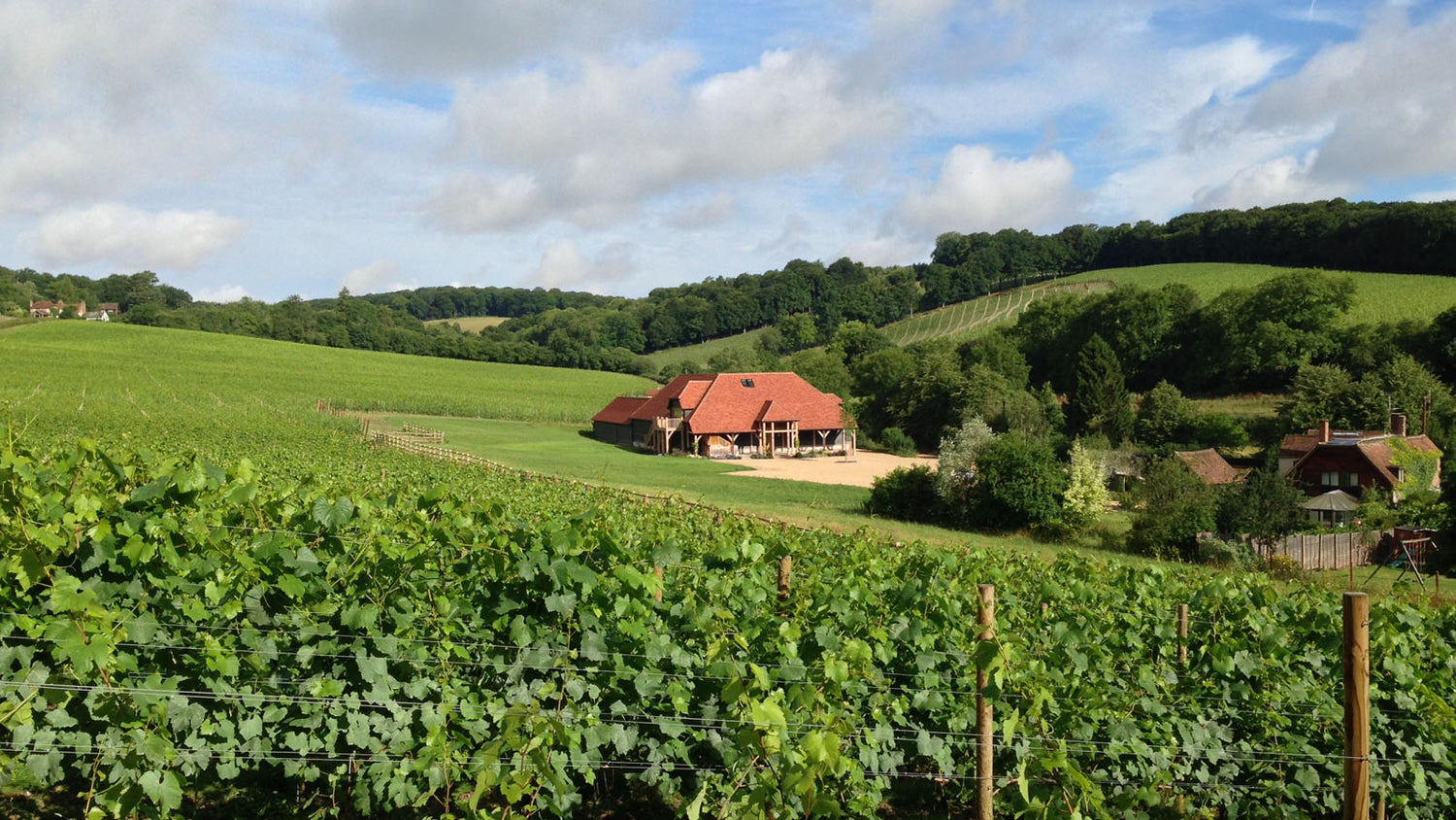 🌎 Hundred Hills Vineyard -UK