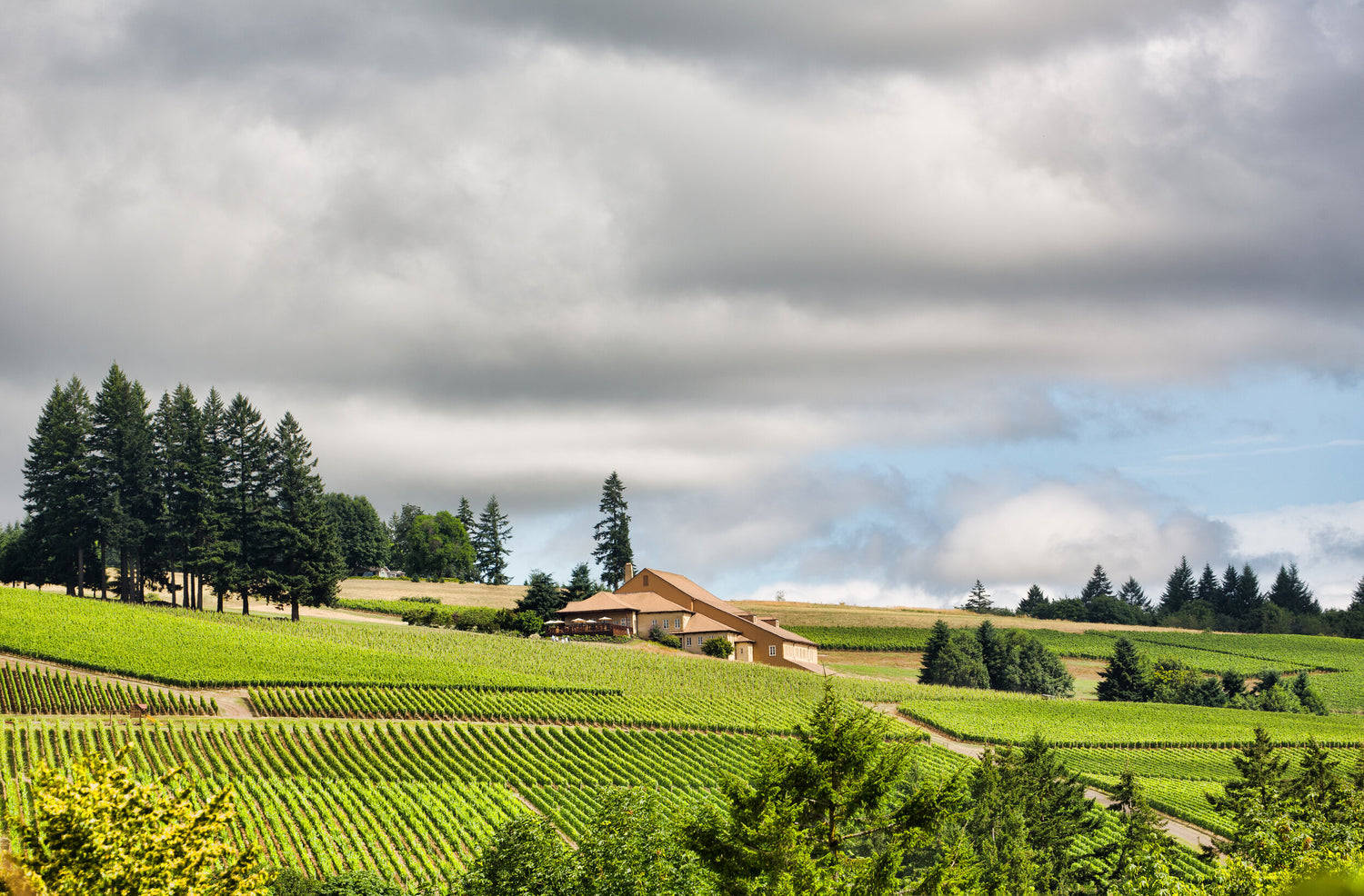 🌎 Domain Drouhin