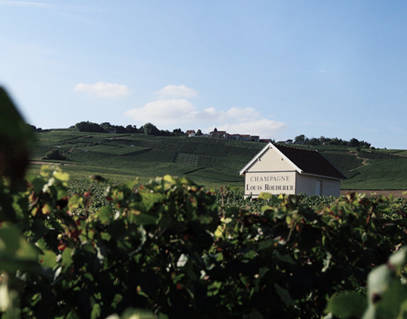 LOUIS ROEDERER